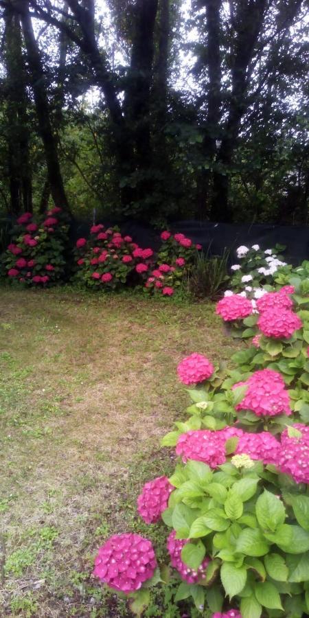 Camping Playa Sauces Ribadesella Exterior foto